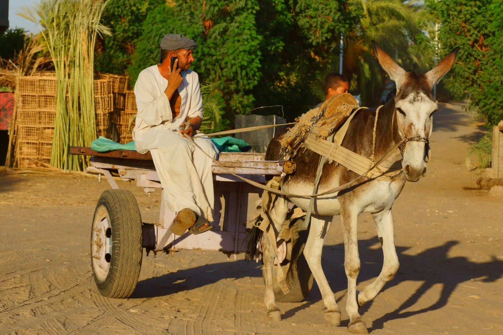 Neulich auf dem Weg nach Luxor