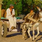 Neulich auf dem Weg nach Luxor