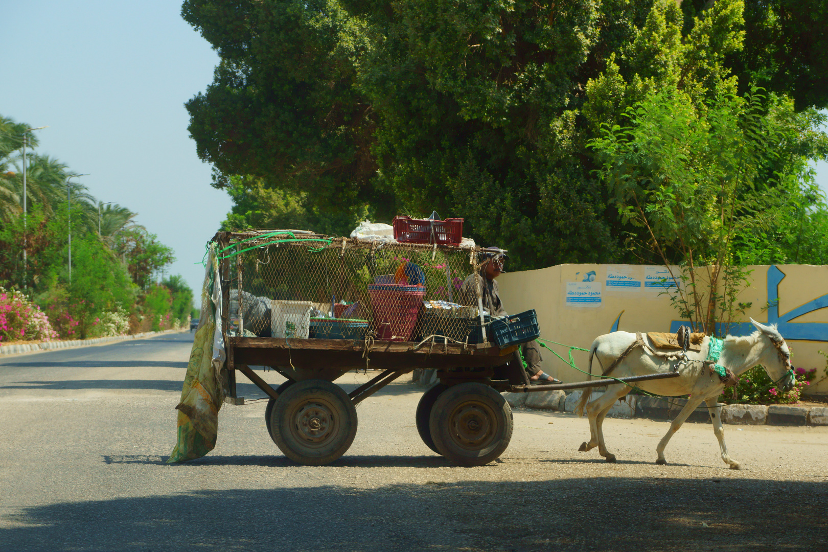 Neulich auf dem Weg nach Luxor