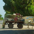 Neulich auf dem Weg nach Luxor