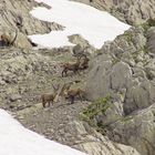 Neulich auf dem Weg zum Säntis