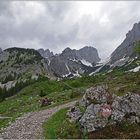 neulich auf dem Weg zur Gaudeamushütte