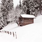 Neulich auf der Alm