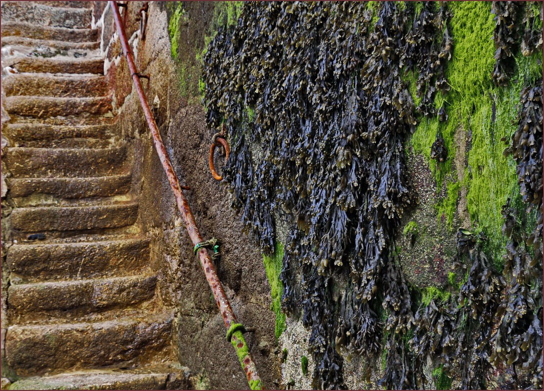 Neulich auf der Treppe