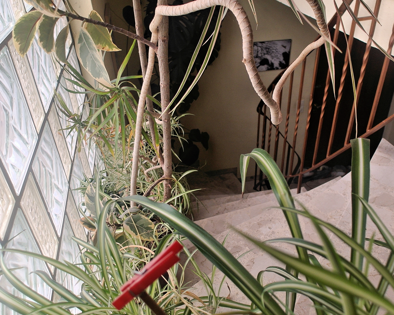 Neulich auf der Treppe sah ich erstmalig diese rote Wäscheklammer