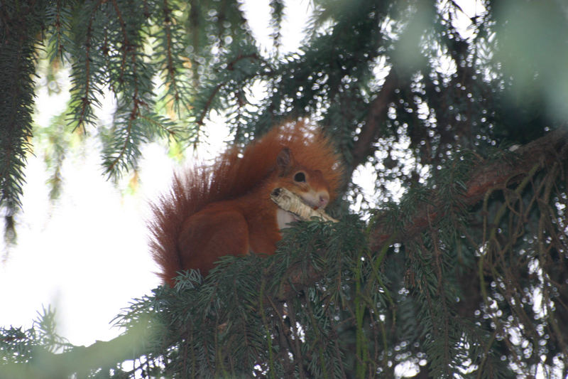 Neulich auf der Veranda