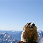 Neulich auf der Zugspitze