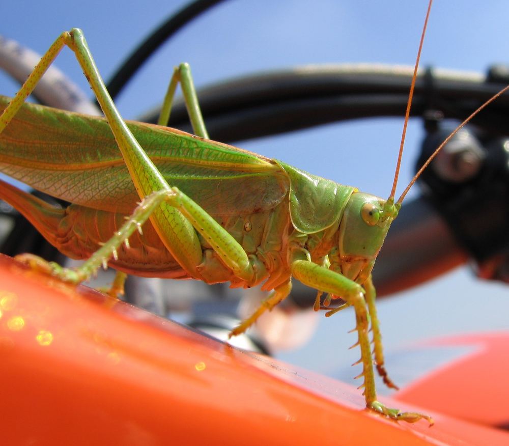 Neulich auf meinem Motorrad