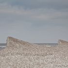 -Neulich auf Spitzbergen-