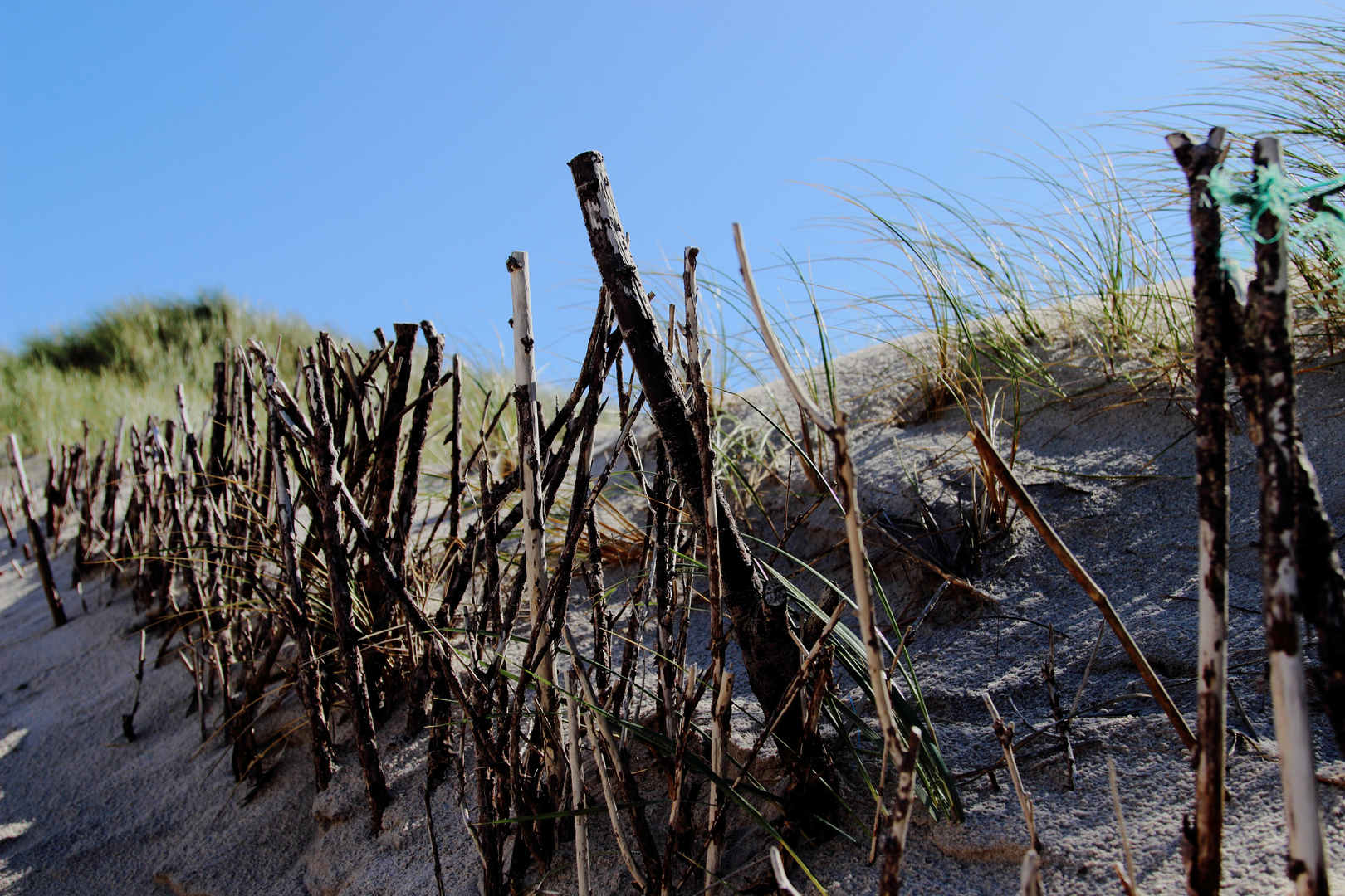 Neulich auf Sylt