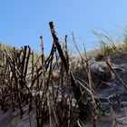 Neulich auf Sylt