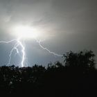 Neulich aus meinem Fenster