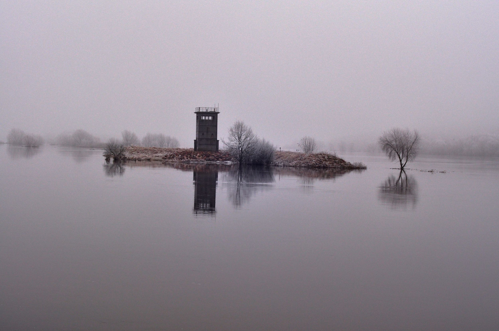 Neulich bei Hochwasser an der Elbe