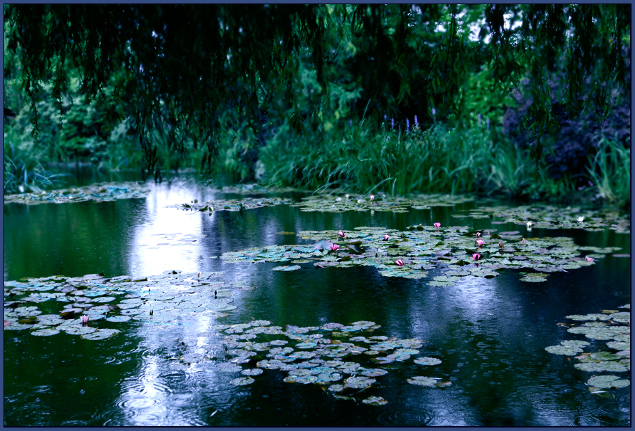 Neulich bei Monet