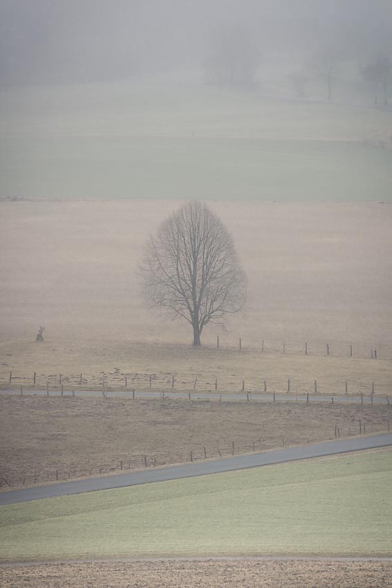 Neulich bei Nebel