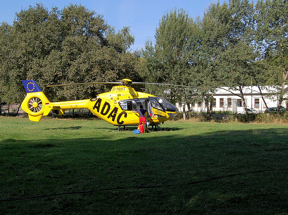 Neulich bei uns auf der Kuhweide