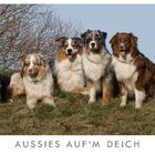 Neulich, beim Aussie-Treffen...