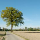 neulich beim Frühlingsspaziergang