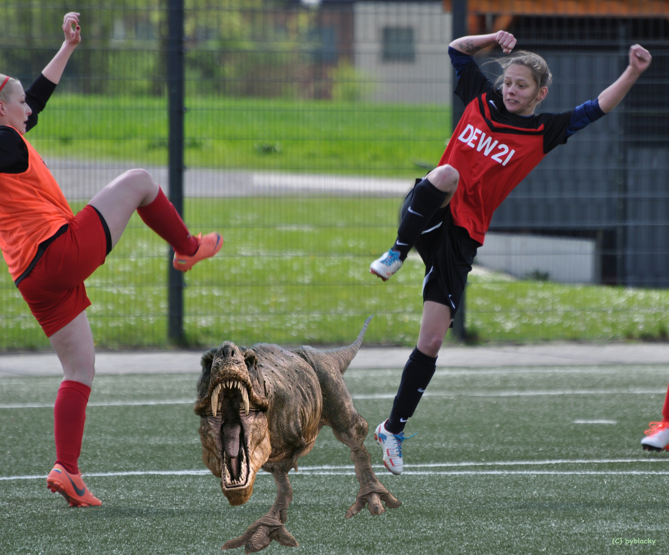 Neulich beim Fussball