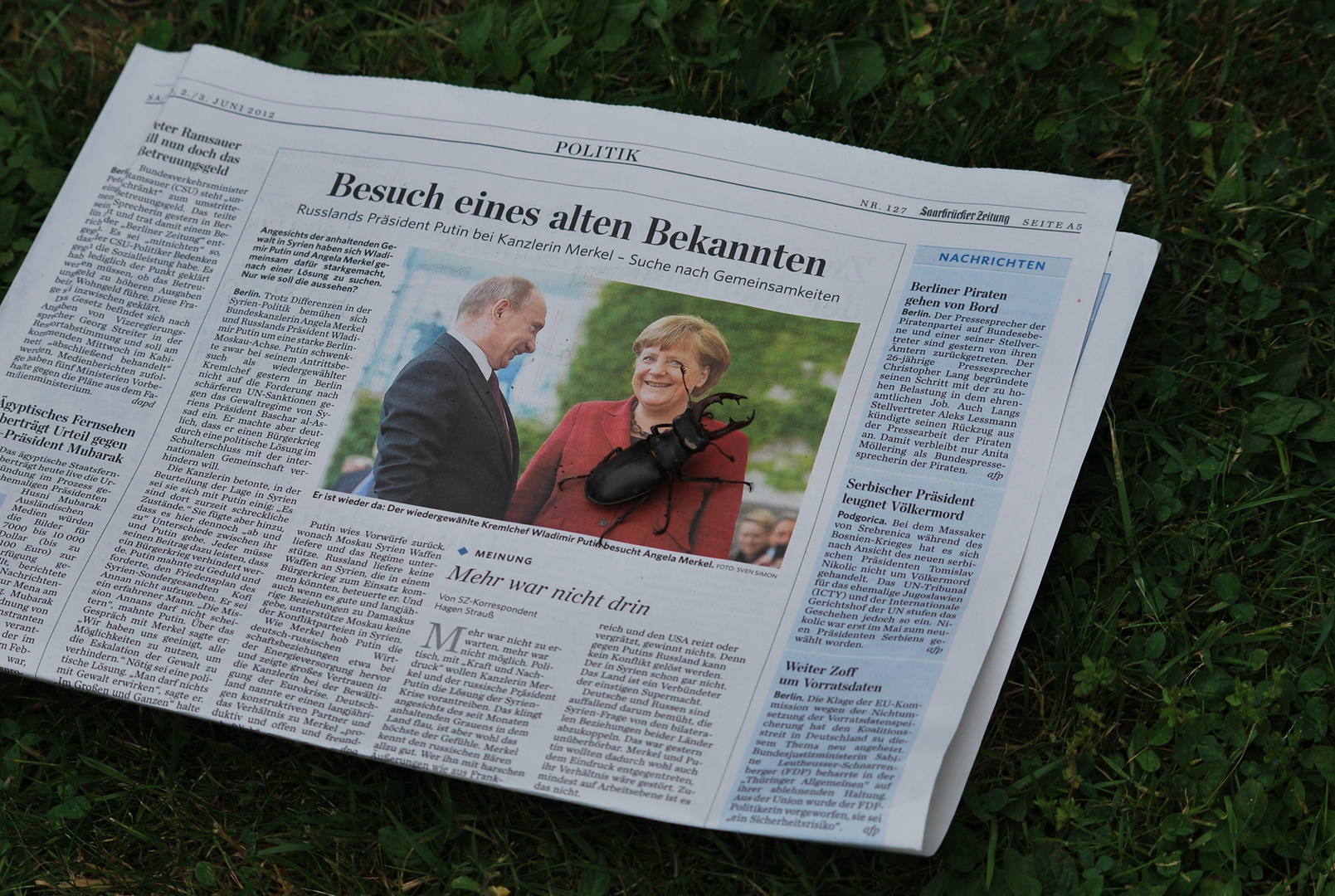 Neulich beim Lesen im Garten - Besuch eines alten Bekannten