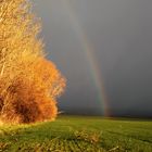 Neulich, beim letzten Sturm