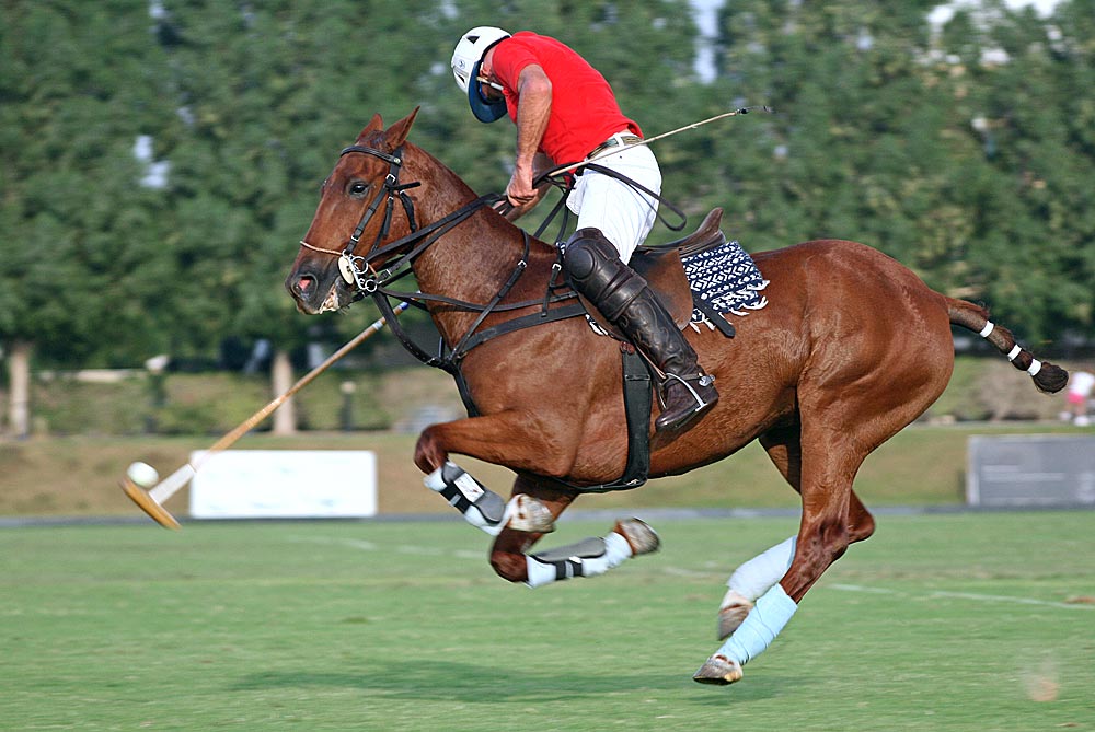 neulich beim Polospiel in Dubai...