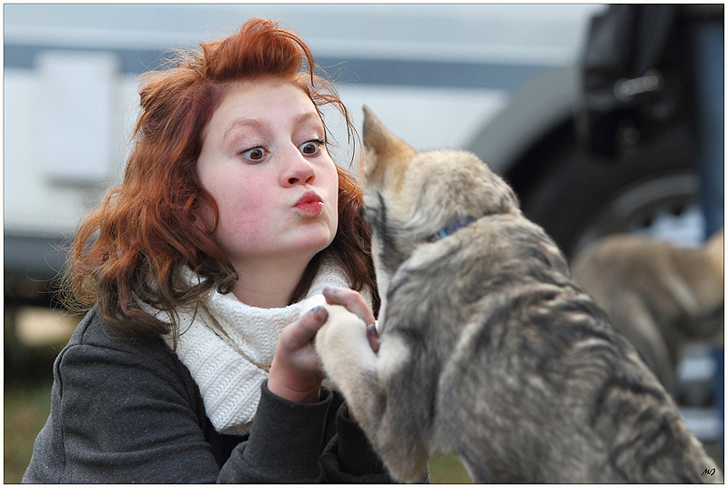 Neulich beim Schlittenhunderennen 3