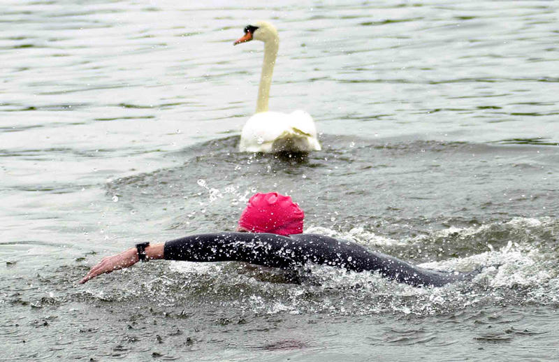 Neulich beim Triathlon...