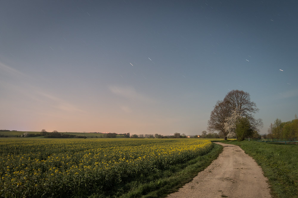 Neulich beim Vollmond...(2)