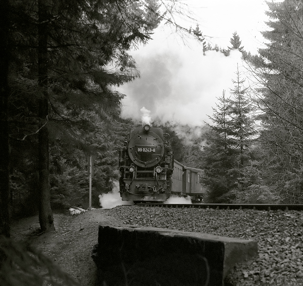 Neulich, beim Weihnachtsbaumschlagen