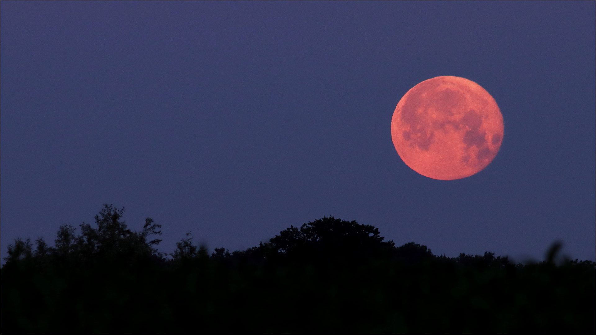 Neulich, der "Supermond"...