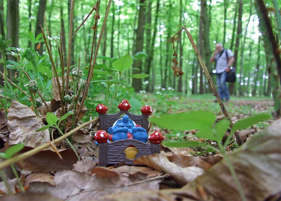 Neulich entdeckt bei einer Fototour im Wald....