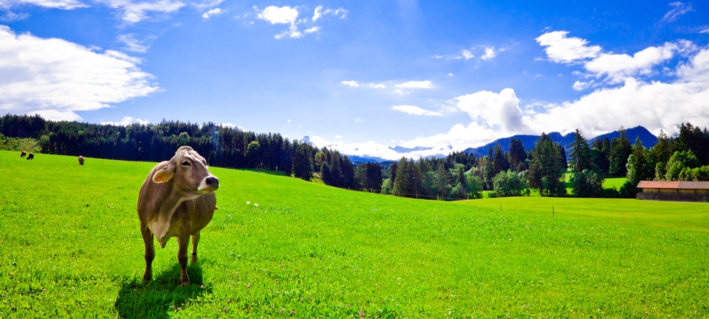 :: neulich hinter den Bergen ::