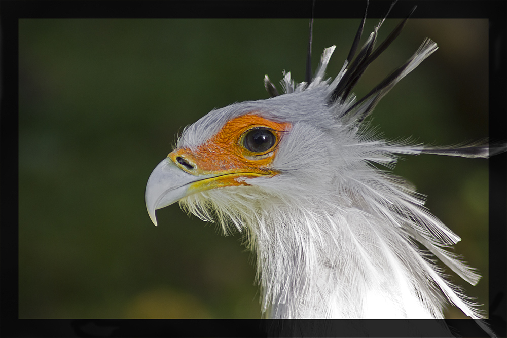 Neulich im Berliner Tierpark....