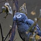 Neulich im Berliner Tierpark...