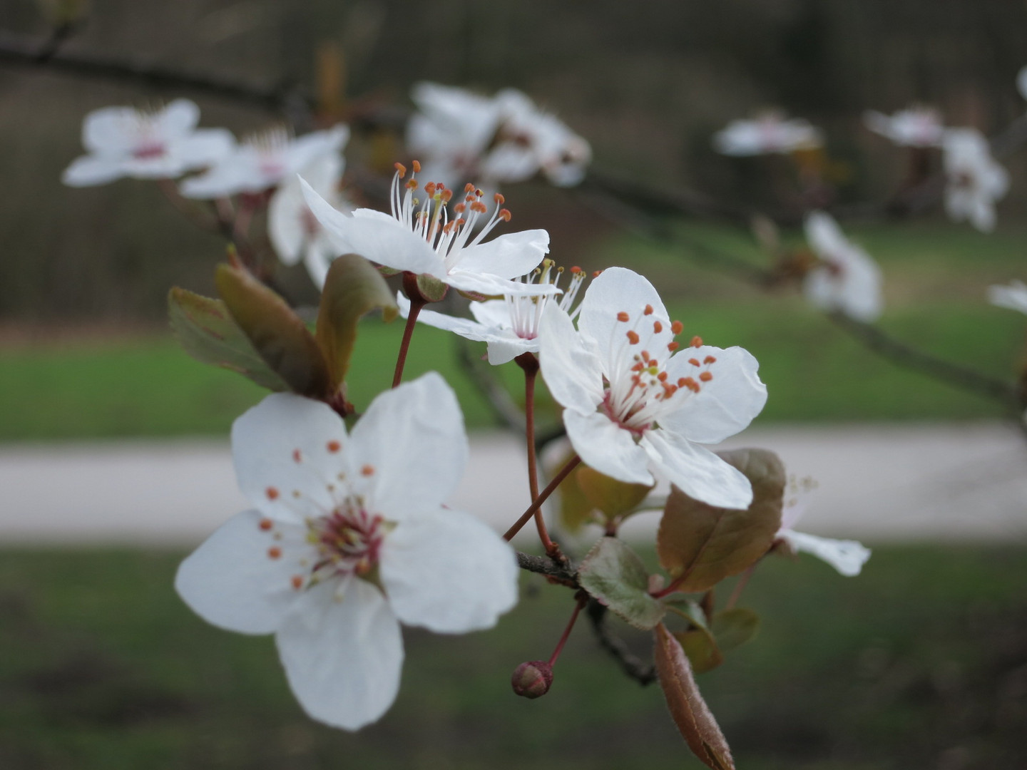 Neulich im botanischen Garten