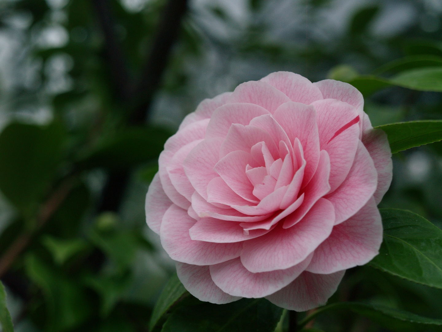 neulich im Botanischen Garten