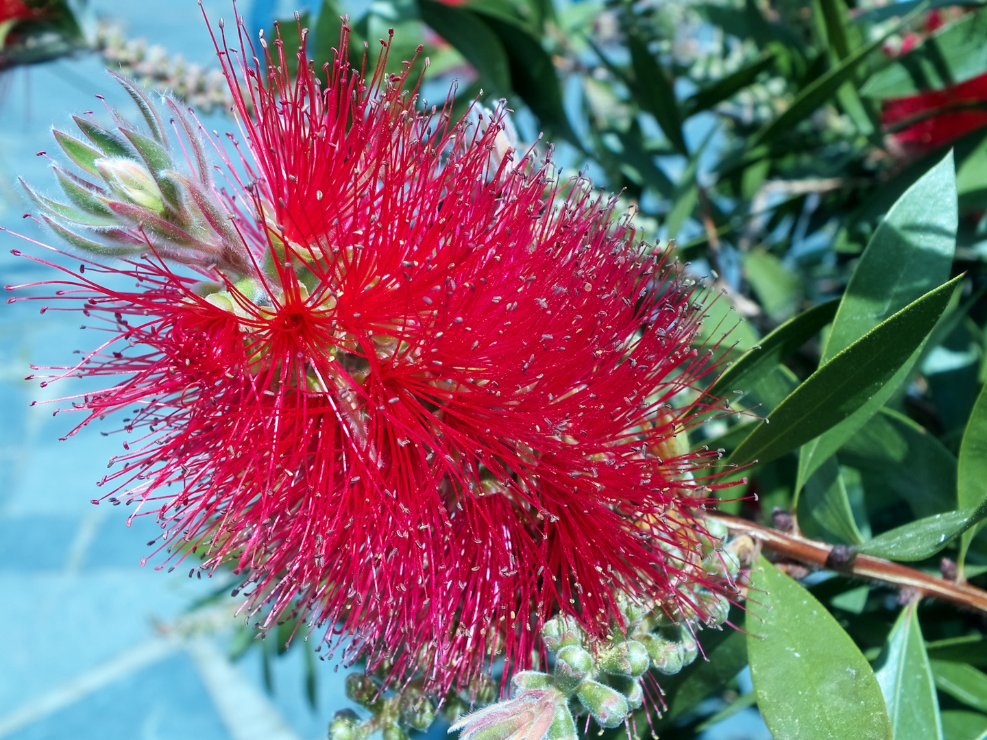 Neulich im Botanischen Garten, Hamburg