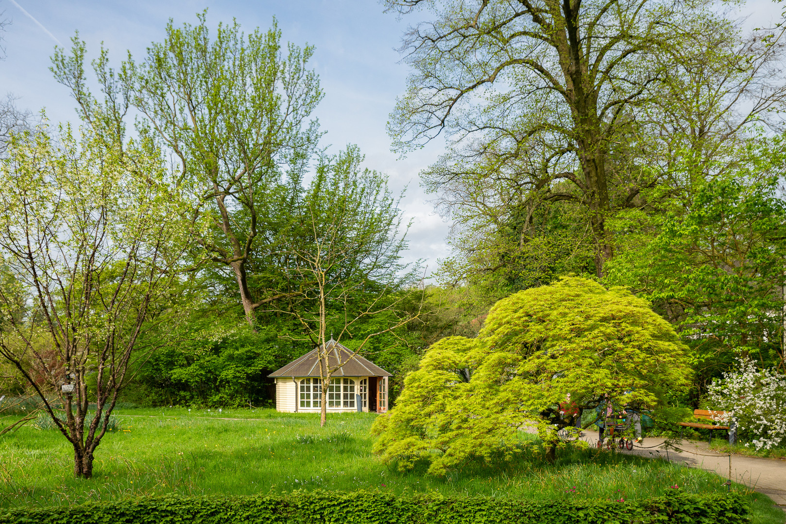 Neulich im Botanischen Garten Münster.