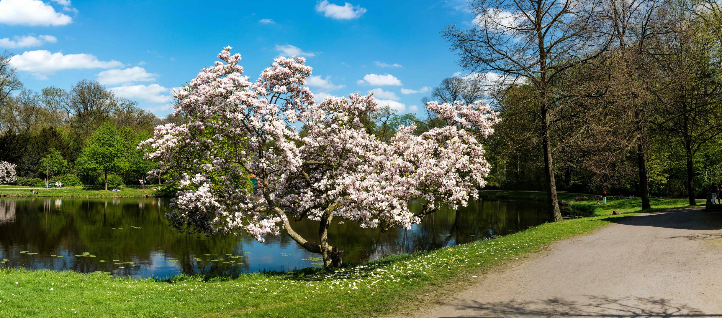 Neulich im Bürgerpark