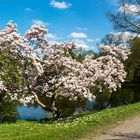 Neulich im Bürgerpark