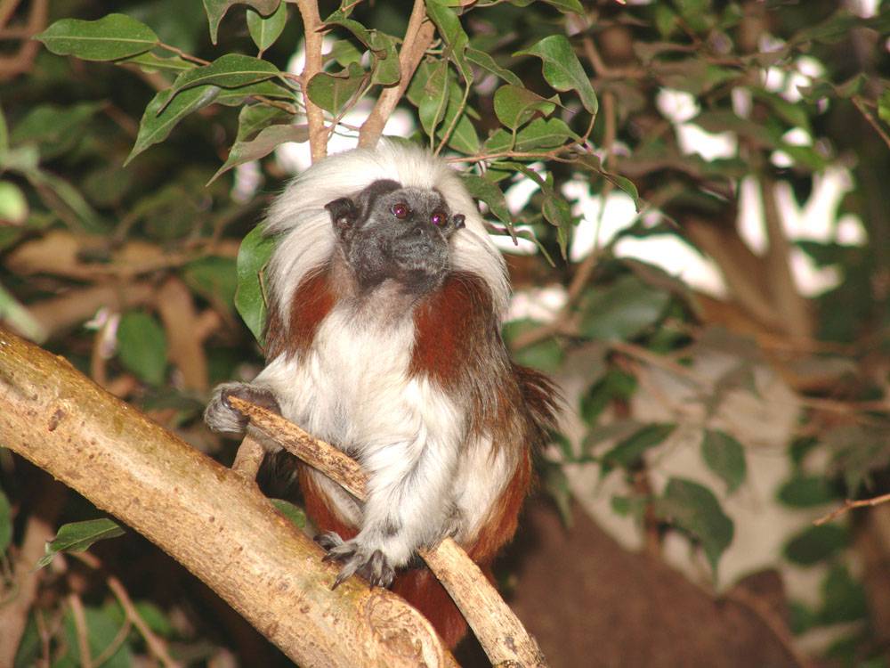 Neulich im Duisburger Zoo