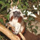 Neulich im Duisburger Zoo