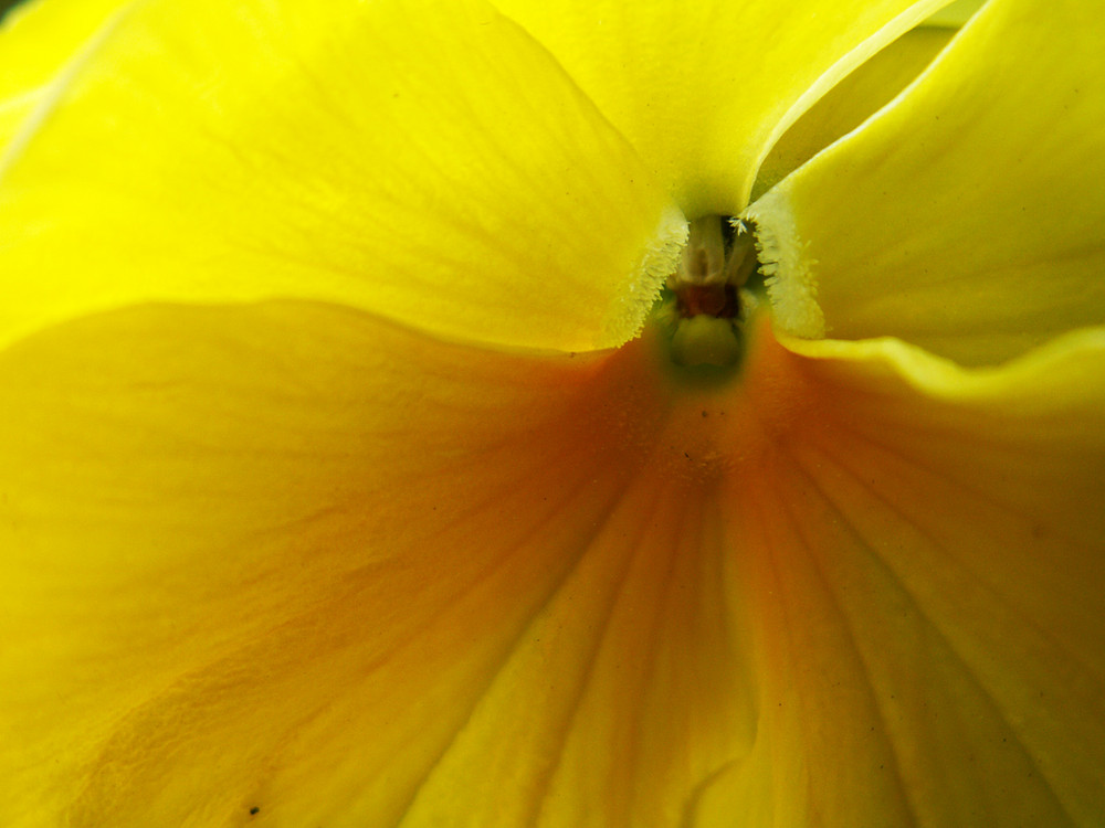 Neulich im Garten