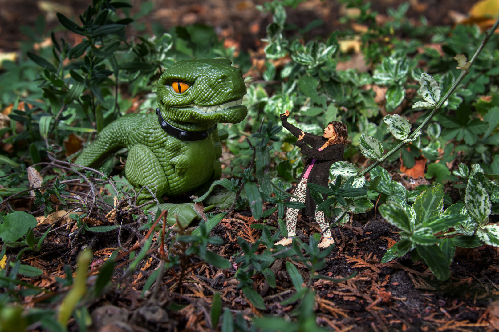 Neulich im Garten