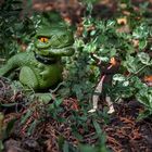 Neulich im Garten