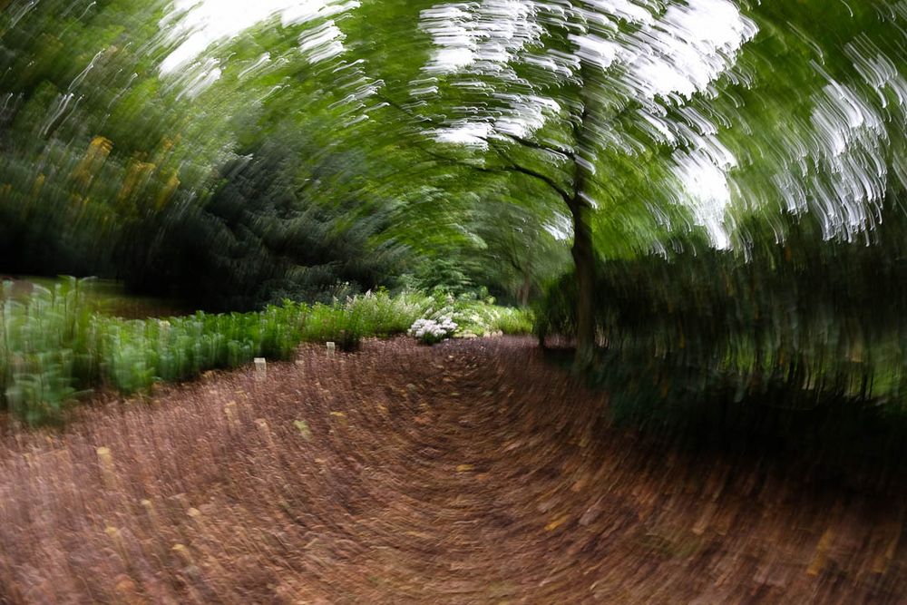 Neulich im Garten Foto &amp; Bild natur, landschaft