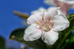 Neulich im Garten