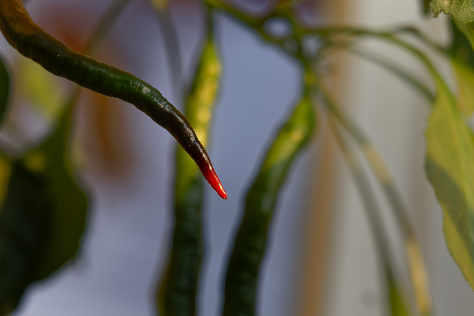 Neulich im Garten Eden