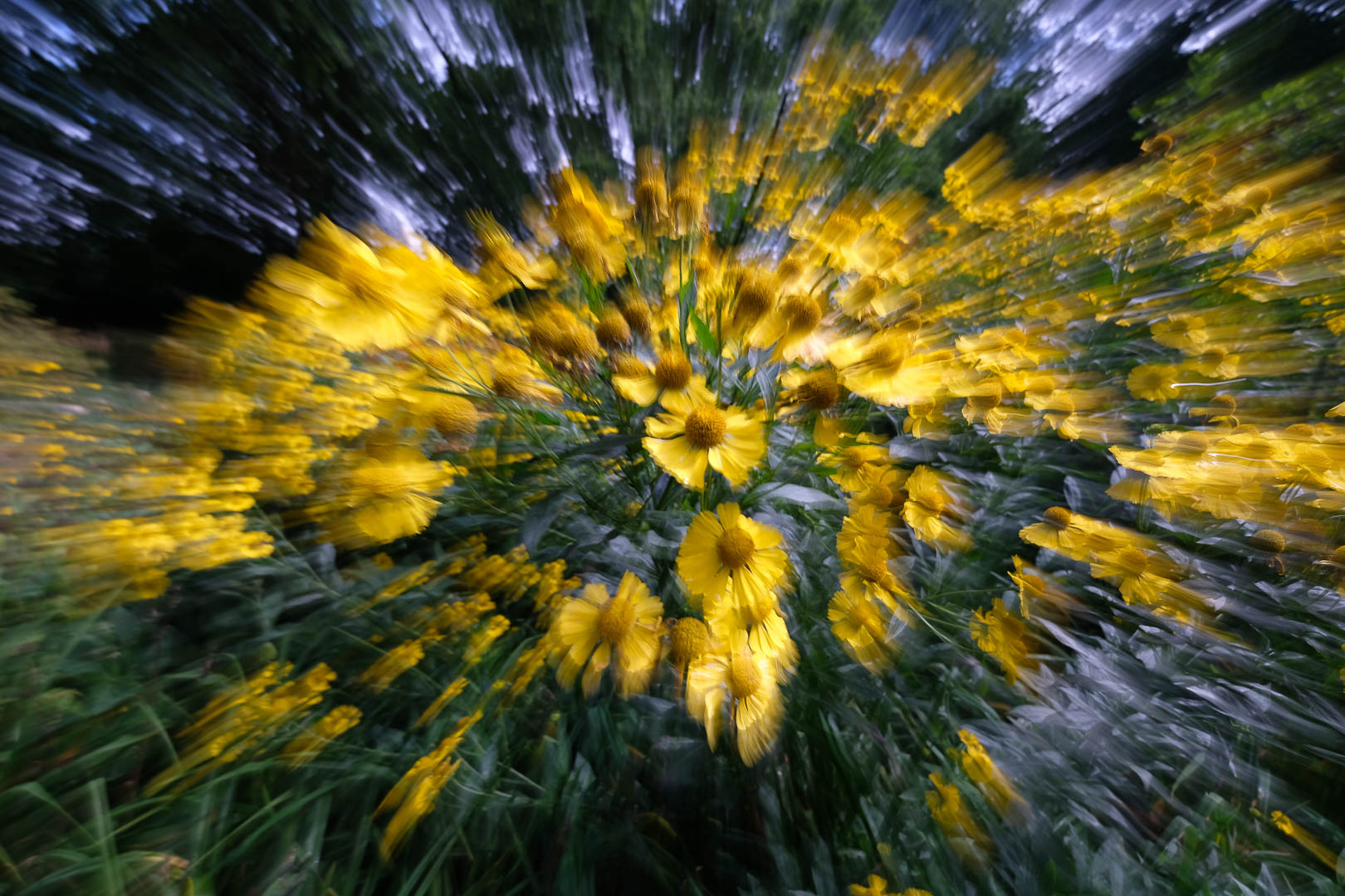 Neulich im Garten